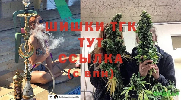 спиды Михайловск