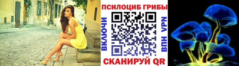 Псилоцибиновые грибы прущие грибы  Таганрог 
