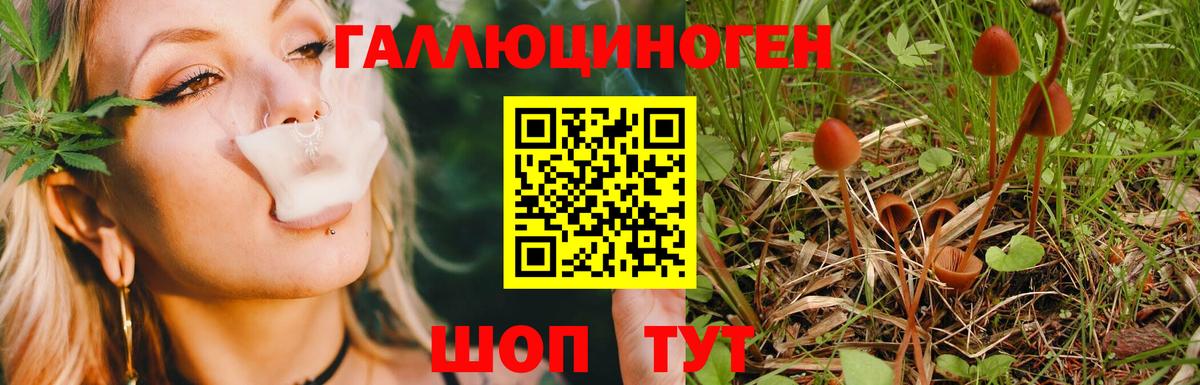 Таганрог  Псилоцибиновые грибы MAGIC MUSHROOMS  Вход с VPN 